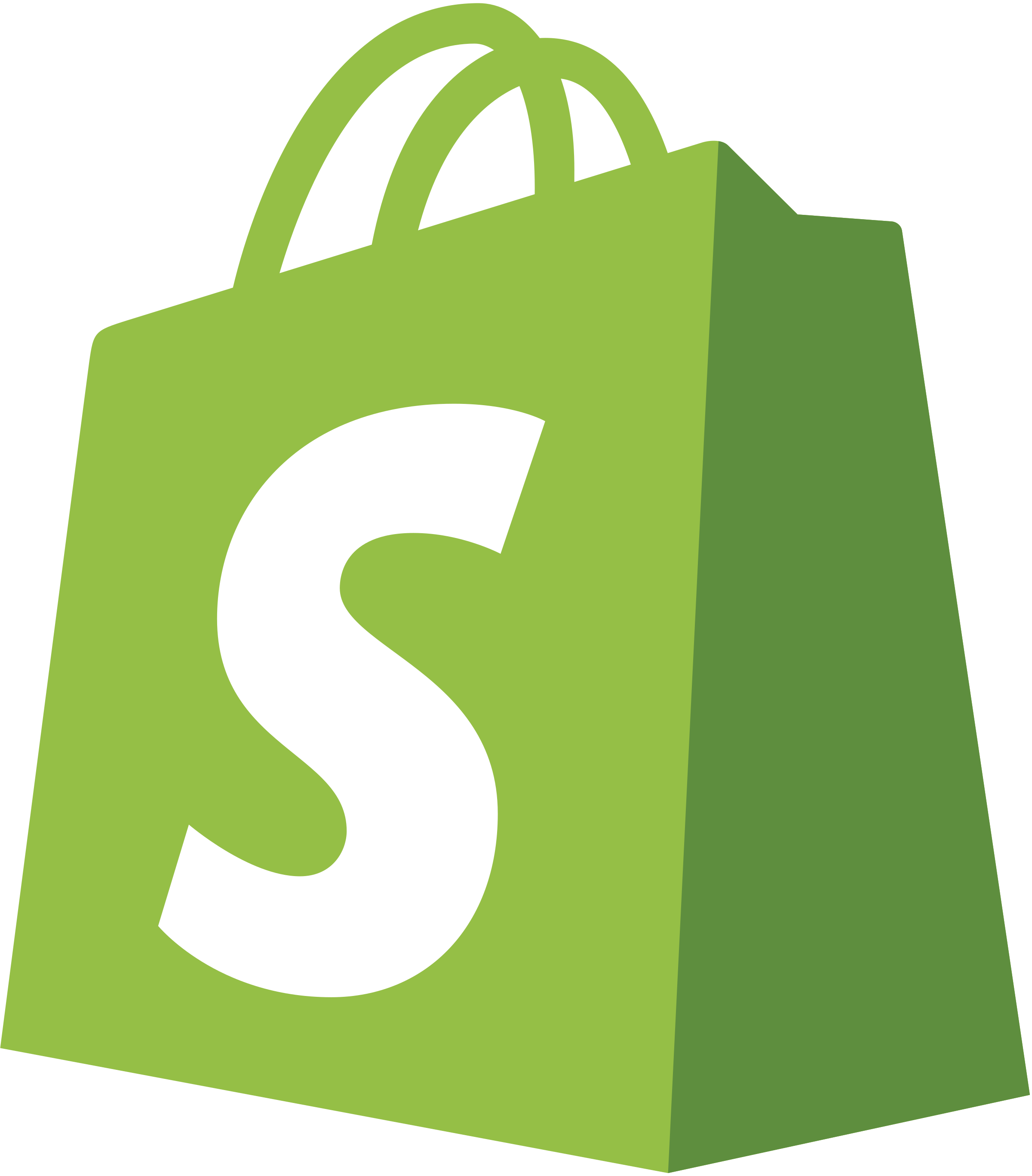 Shopify Partner